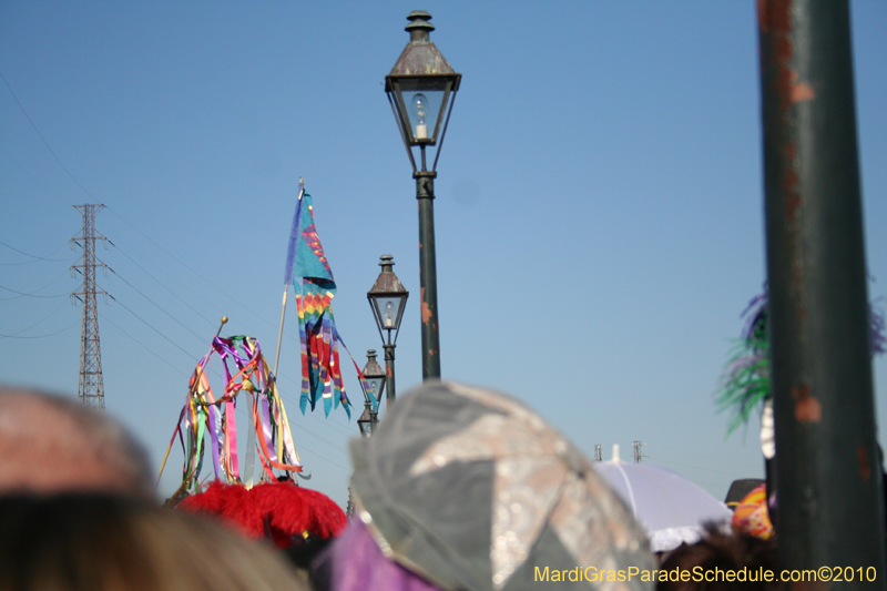 Mardi-Gras-Day-French-Quarter-New-Orleans-2010-1651
