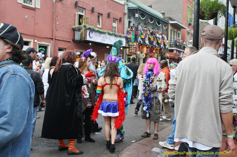 Mardi-Gras-Day-2011-0037