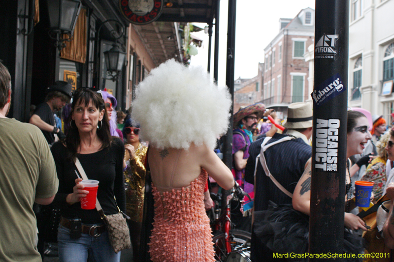 Mardi-Gras-Day-2011-0052