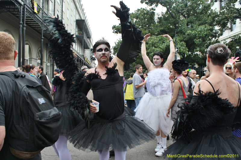 Mardi-Gras-Day-2011-0116