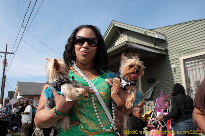 Mardi-Gras-Day-2012-0001