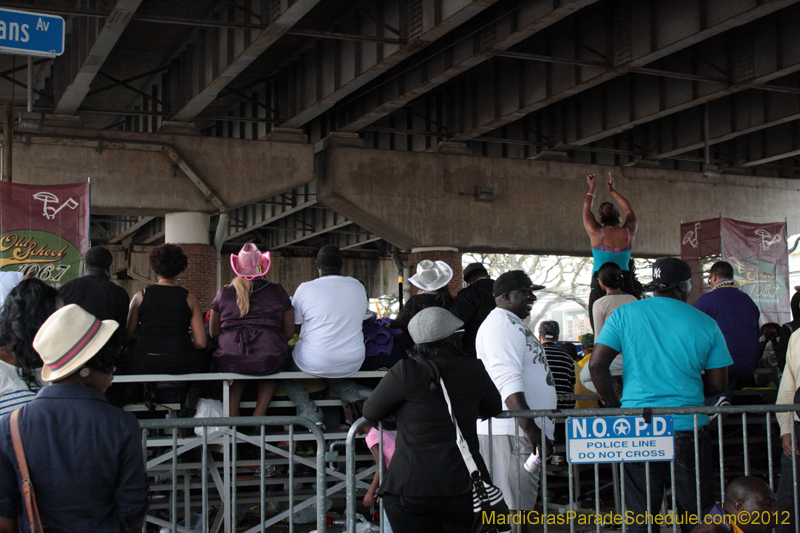 Mardi-Gras-Day-2012-0015