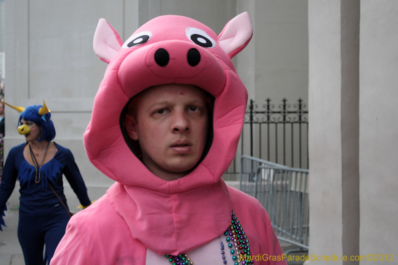 Mardi-Gras-Day-2012-0118