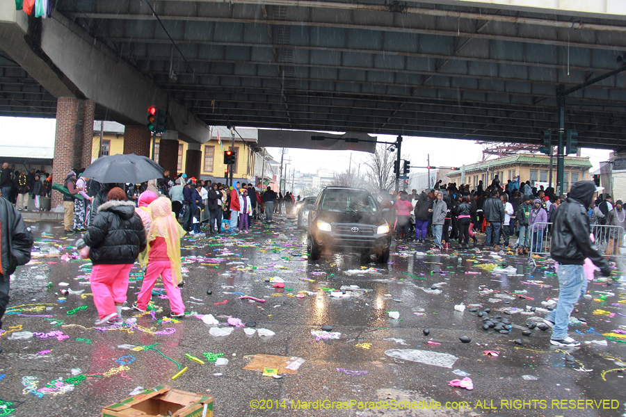 2014-Mardi-Gras-Day-11004