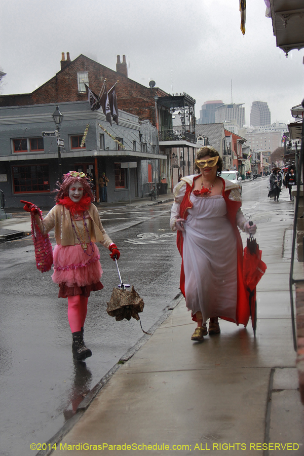 2014-Mardi-Gras-Day-11022