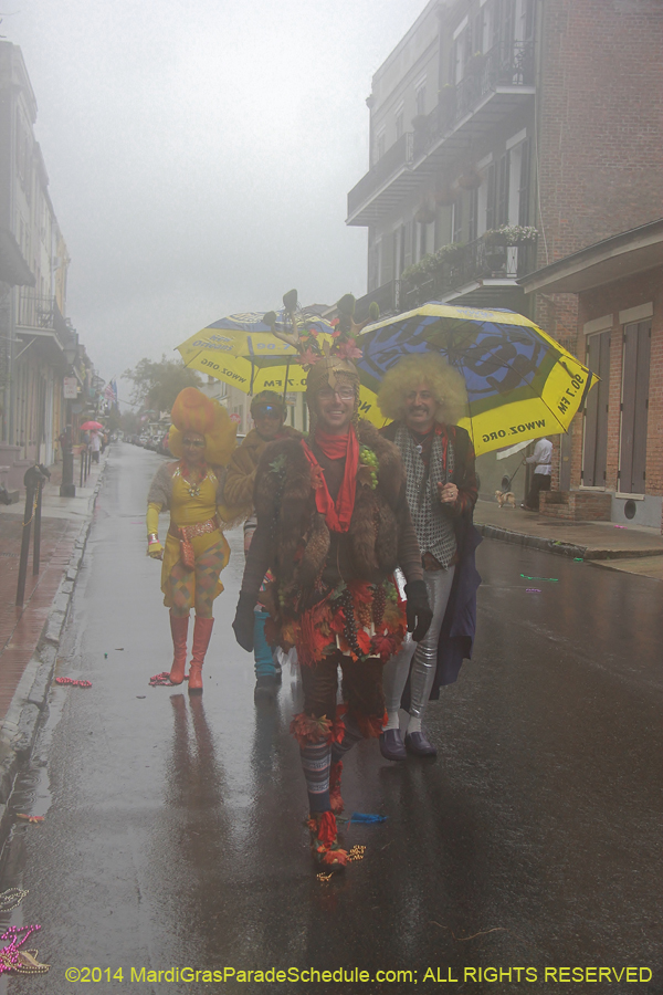 2014-Mardi-Gras-Day-11113