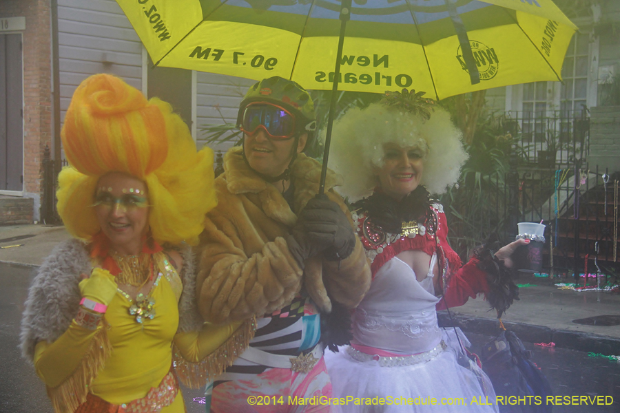 2014-Mardi-Gras-Day-11114