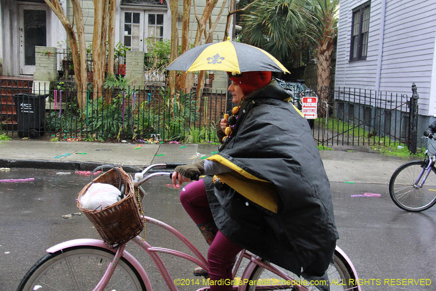 2014-Mardi-Gras-Day-11118