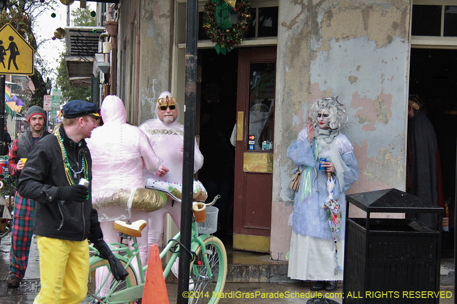 2014-Mardi-Gras-Day-11133