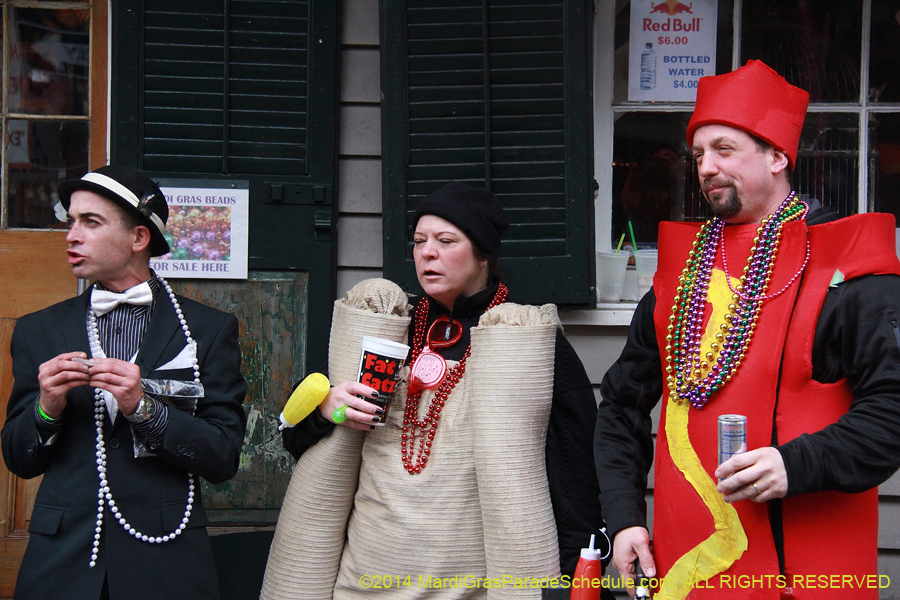 2014-Mardi-Gras-Day-11145
