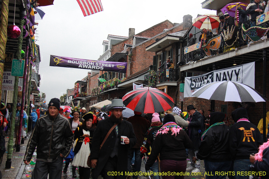 2014-Mardi-Gras-Day-11146