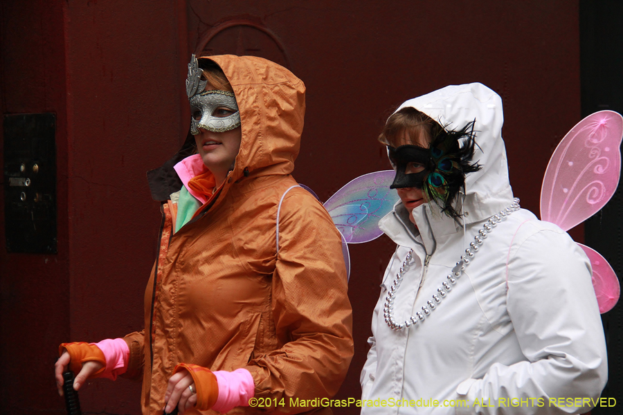 2014-Mardi-Gras-Day-11150