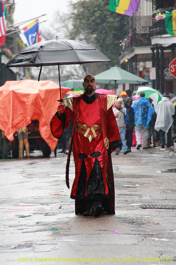 2014-Mardi-Gras-Day-11152