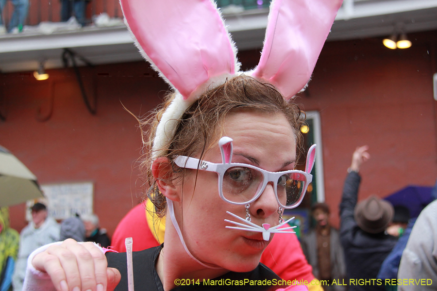 2014-Mardi-Gras-Day-11165