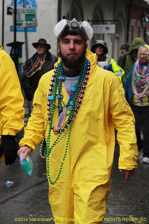 2014-Mardi-Gras-Day-11171