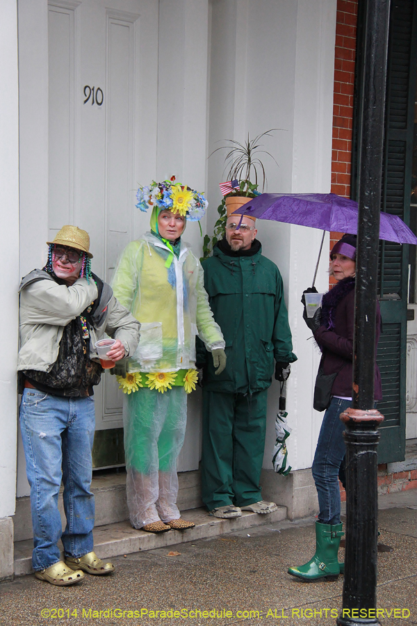 2014-Mardi-Gras-Day-11190