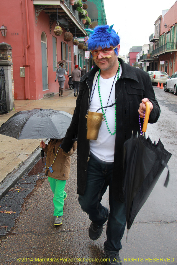 2014-Mardi-Gras-Day-11255