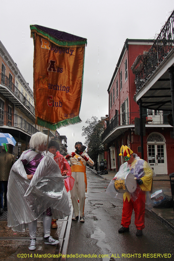2014-Mardi-Gras-Day-11276