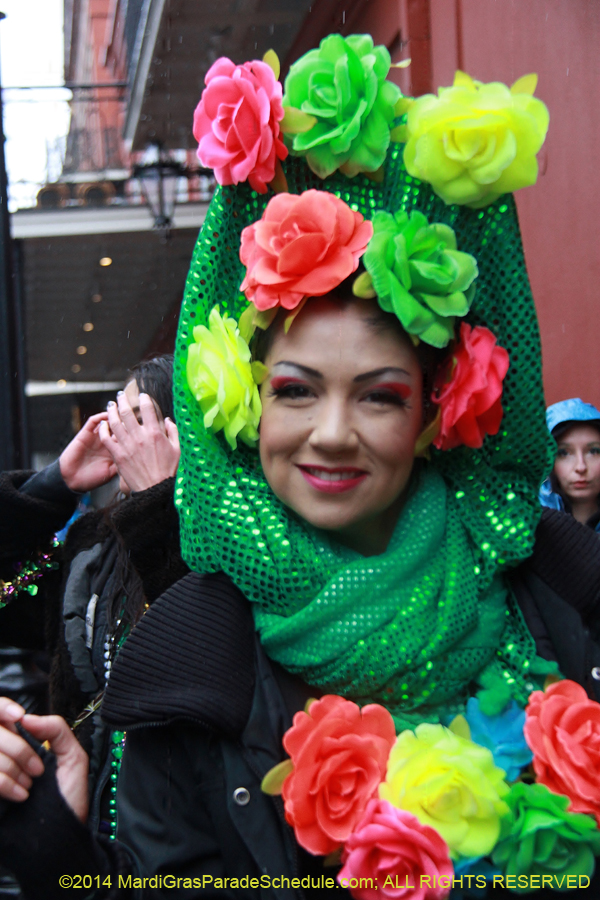 2014-Mardi-Gras-Day-11359