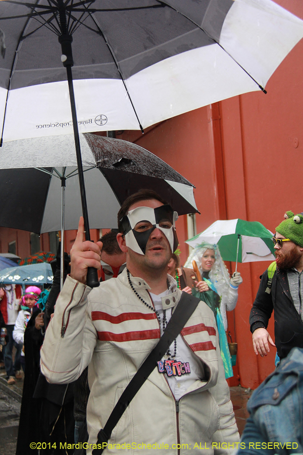2014-Mardi-Gras-Day-11362