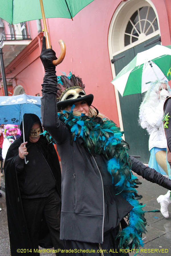 2014-Mardi-Gras-Day-11363