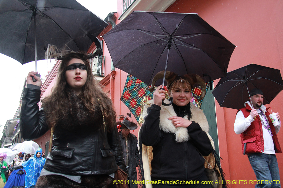 2014-Mardi-Gras-Day-11366