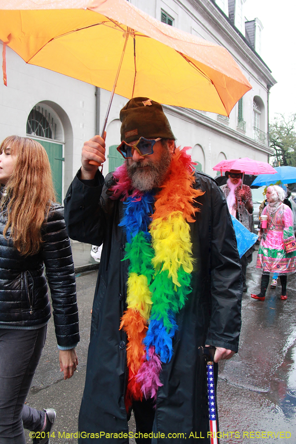 2014-Mardi-Gras-Day-11368