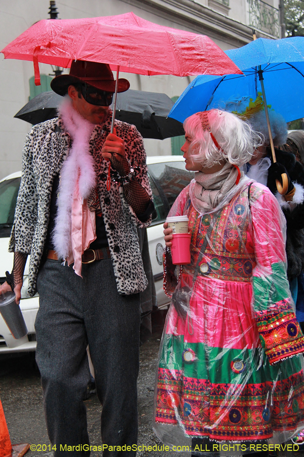 2014-Mardi-Gras-Day-11369