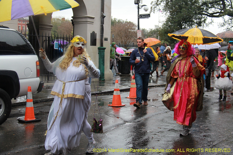 2014-Mardi-Gras-Day-11371