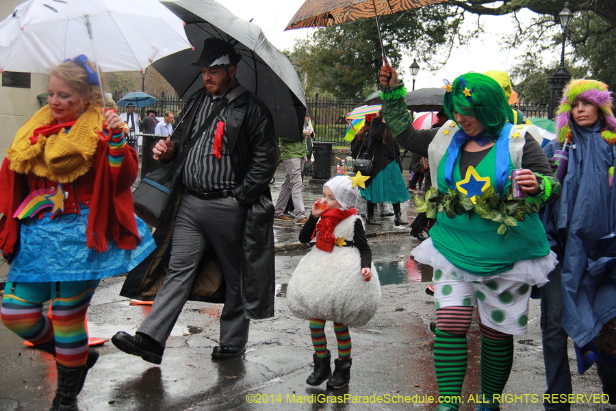 2014-Mardi-Gras-Day-11372