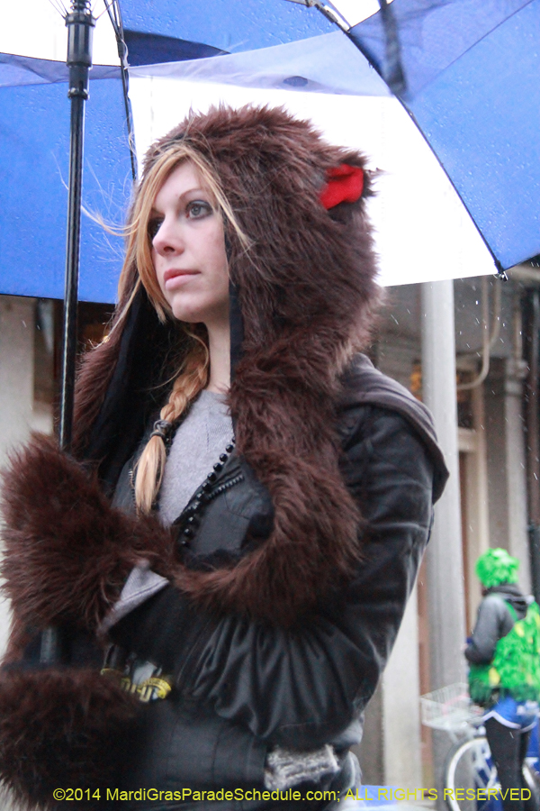 2014-Mardi-Gras-Day-11378