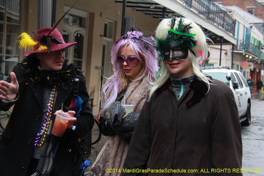 2014-Mardi-Gras-Day-11380