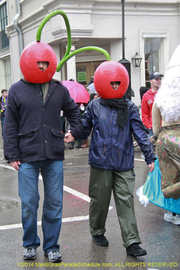 2014-Mardi-Gras-Day-11385