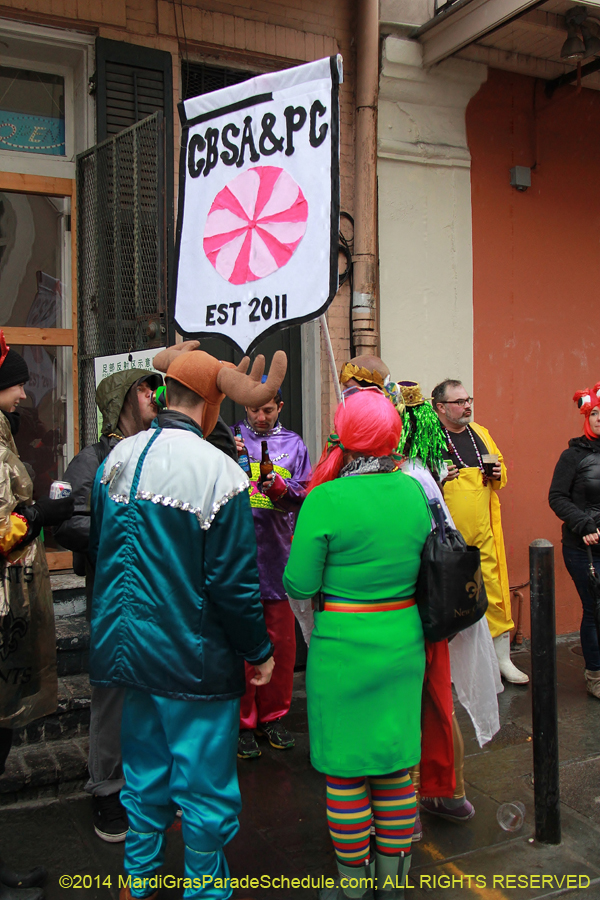2014-Mardi-Gras-Day-11390