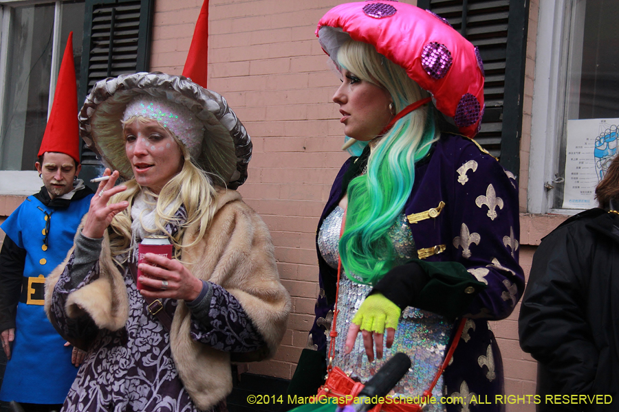 2014-Mardi-Gras-Day-11392