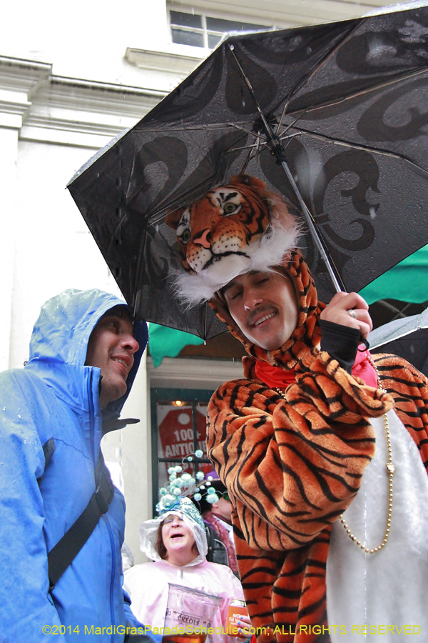 2014-Mardi-Gras-Day-11395