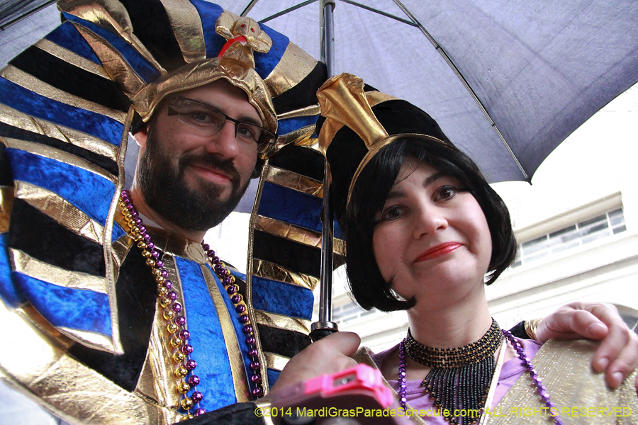 2014-Mardi-Gras-Day-11396