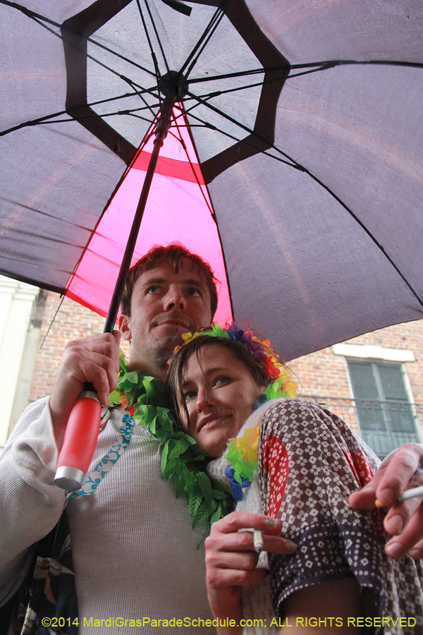2014-Mardi-Gras-Day-11402