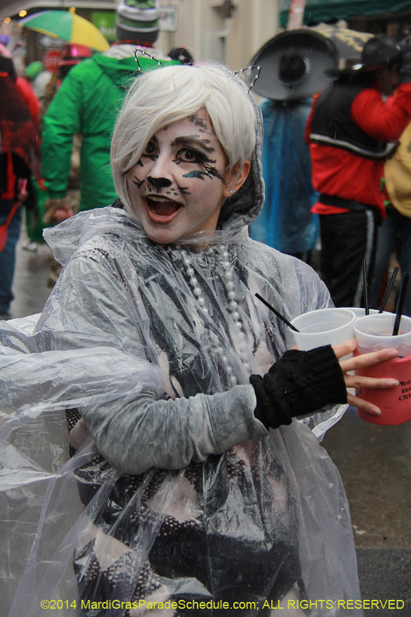 2014-Mardi-Gras-Day-11403