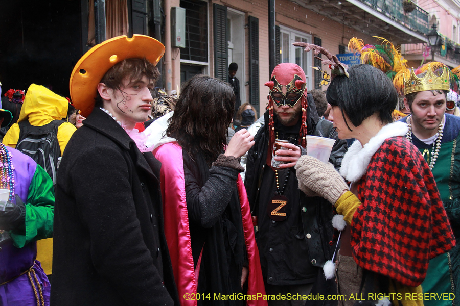 2014-Mardi-Gras-Day-11404