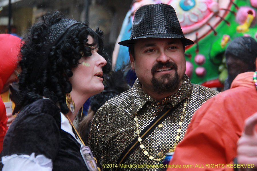 2014-Mardi-Gras-Day-11405