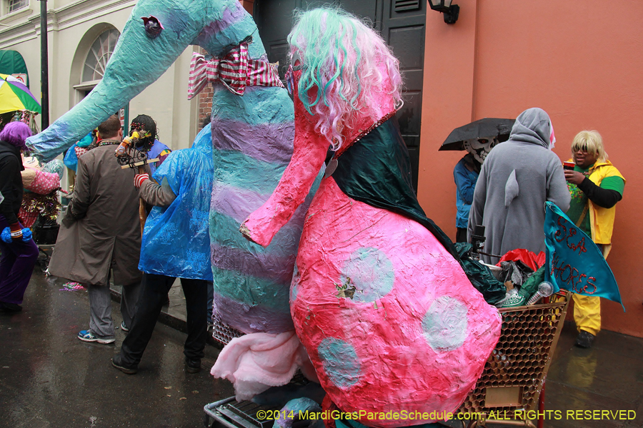 2014-Mardi-Gras-Day-11409