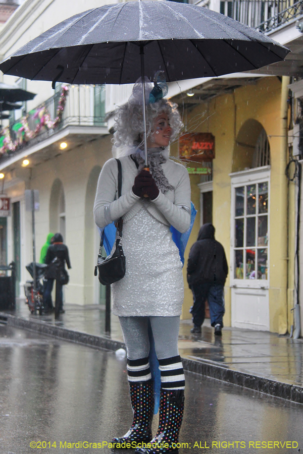 2014-Mardi-Gras-Day-11411