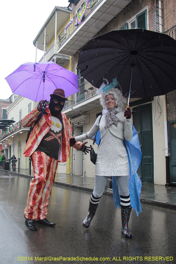 2014-Mardi-Gras-Day-11414