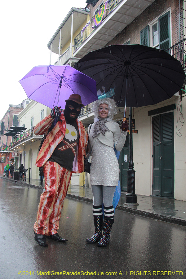 2014-Mardi-Gras-Day-11417