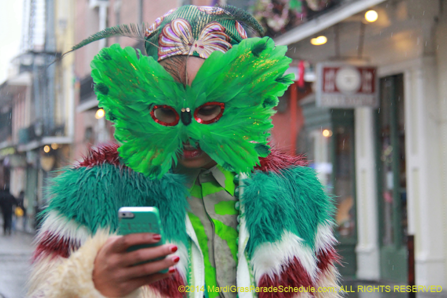 2014-Mardi-Gras-Day-11421