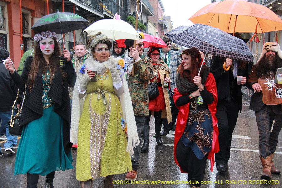 2014-Mardi-Gras-Day-11423