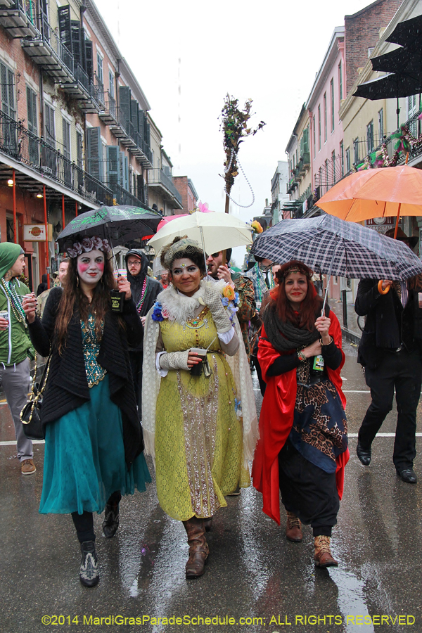 2014-Mardi-Gras-Day-11425