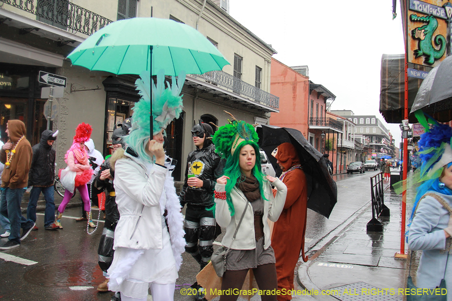 2014-Mardi-Gras-Day-11432