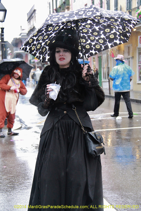 2014-Mardi-Gras-Day-11434